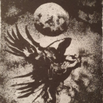 Falk med klode av Håkon Gullvåg